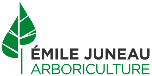 Émile Juneau arboriculture